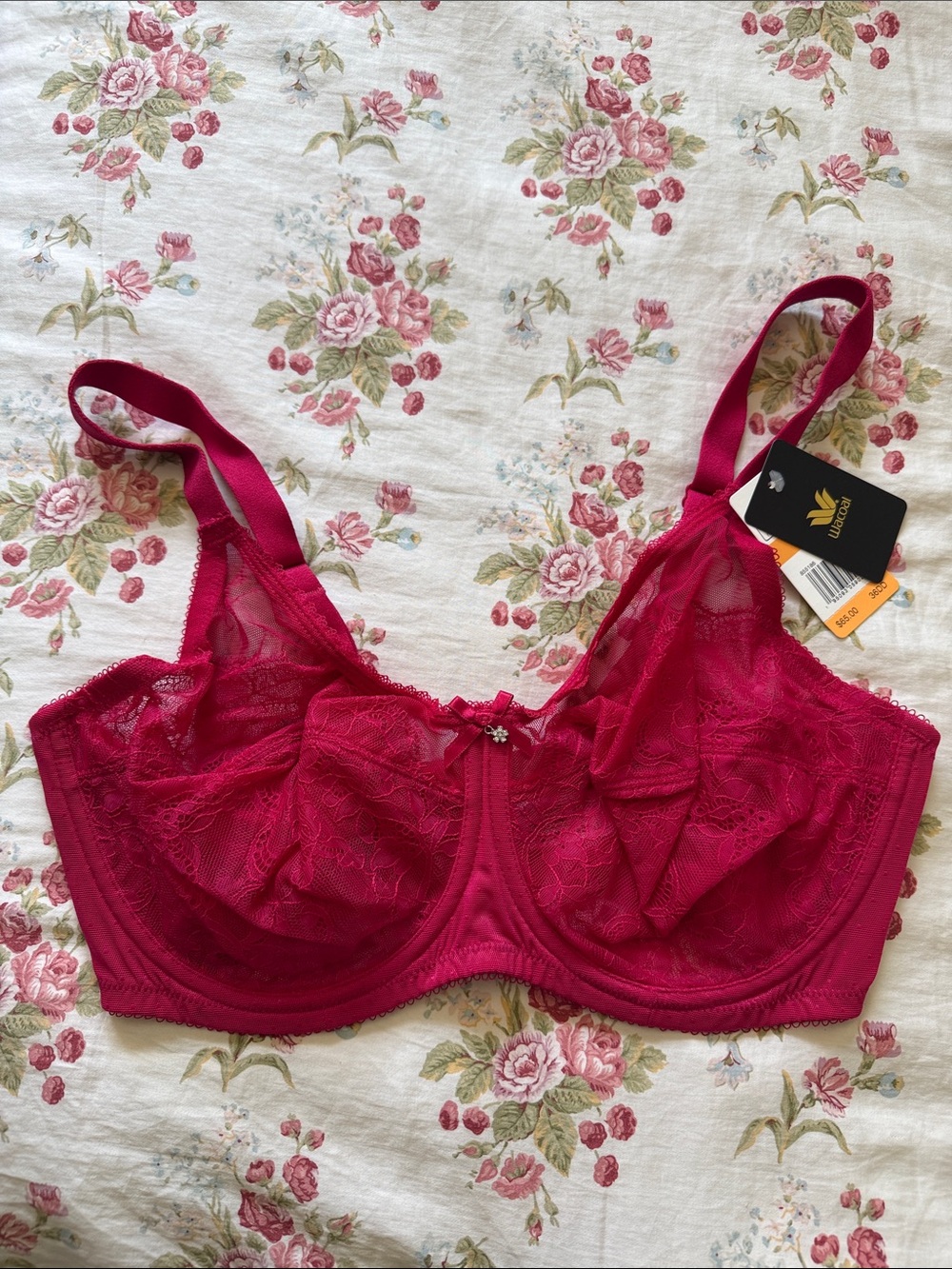 Wacoal Retro Lace Underwire Bra in Deep Fuchsia 36DD